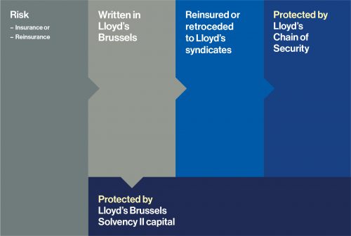 Risk; Insurance or Reinsurance, Written in Lloyd's brussels, Reinsured or retroceded to Lloyd's syndicates, Protected by Lloyd's Chain of Security, Protected by Lloyd's Brussels Solvency II capital
